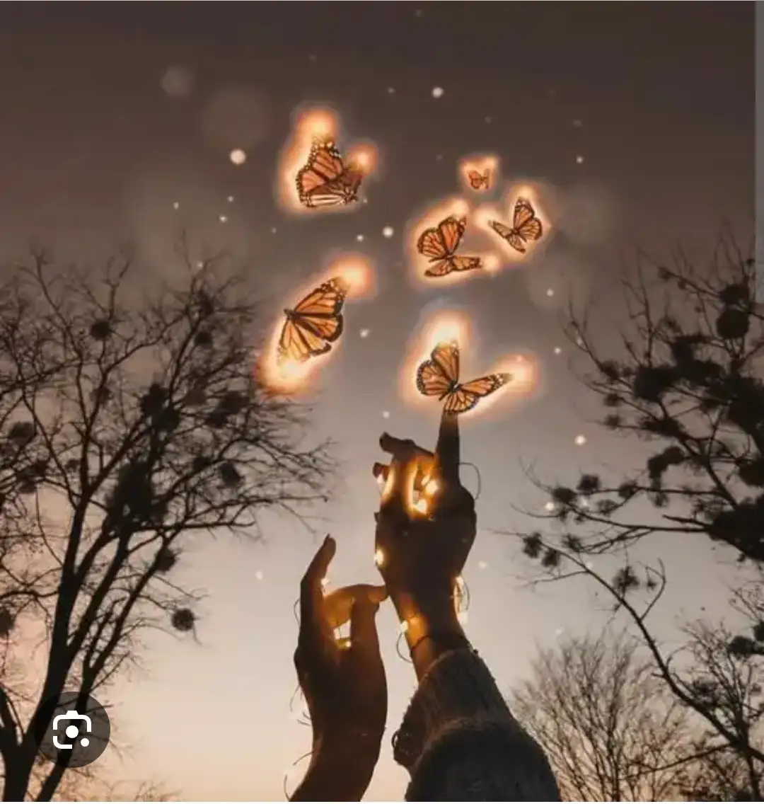Image Missing